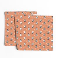 Gray and white Guinea pig popcorning pattern 