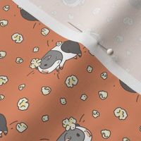 Gray and white Guinea pig popcorning pattern 