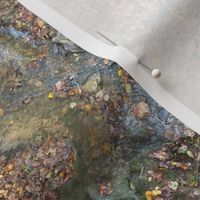 Creek and Root | Seamless Waterside Photo Print