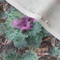 Kale Garden | Seamless Cold-Season Foliage Print