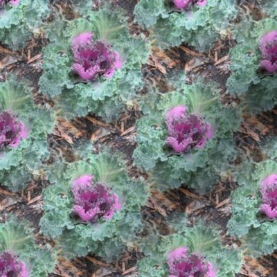 Kale Garden | Seamless Cold-Season Foliage Print