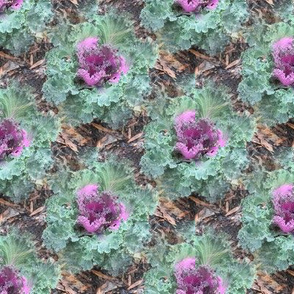 Kale Garden | Seamless Cold-Season Foliage Print