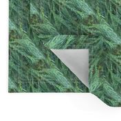 Evergreen | Seamless Botanical Photo Print