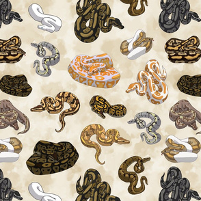 Ball Python Fabric Wallpaper and Home Decor  Spoonflower