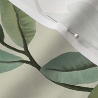 Tropical leaves on Branches lighter background