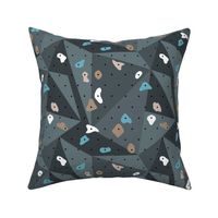 Climbing boulders bouldering gym abstract geometric grips patterns blue gray