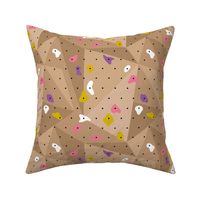 Climbing boulders bouldering gym abstract geometric grips patterns pink purple wood