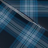 Tramaine Plaid in Blues