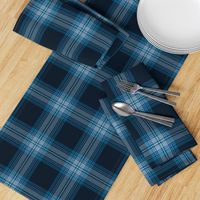 Tramaine Plaid in Blues