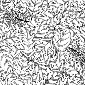 Leaves_Black and White