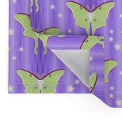 luna moths on violet