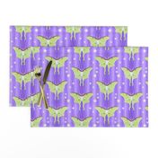 luna moths on violet