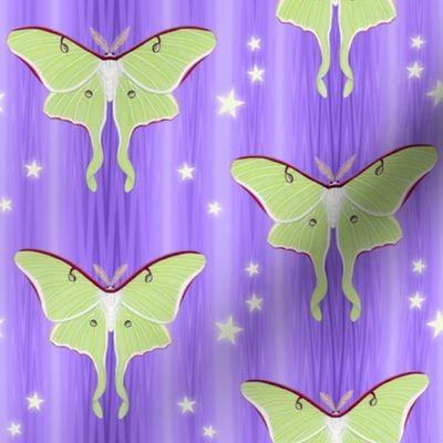 luna moths on violet