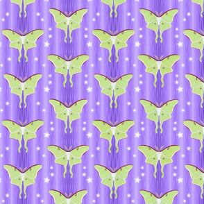 luna moths on violet