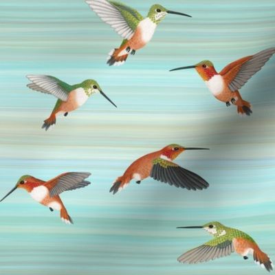 rufous hummingbirds on aqua