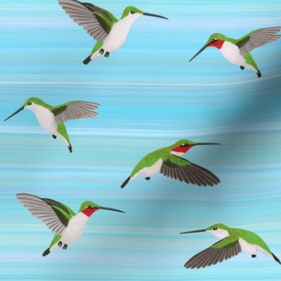 ruby throated hummingingbirds on aqua