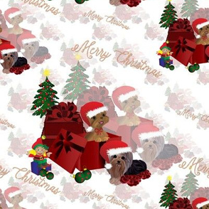 Santa in a Hat Box - Yorkie- abt. 5"