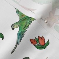 Watercolor Conures