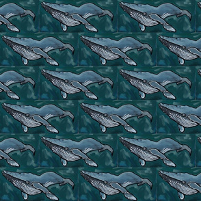 whale1