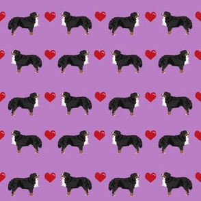 bernese mountain dog love - purple cute love dog, dog fabric, bernese dog fabric, - purple and red