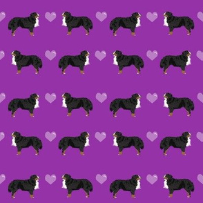 bernese mountain dog love - purple cute love dog, dog fabric, bernese dog fabric, -  dark purple and light purple