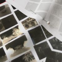 Photo Negatives