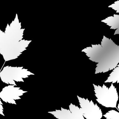 Jumbo leaf white on black