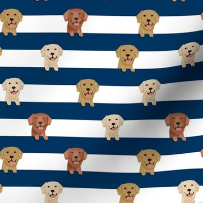 golden retriever stripes fabric - cute golden retriever dog, dog fabric, dogs fabric, golden retrievers stripes - navy