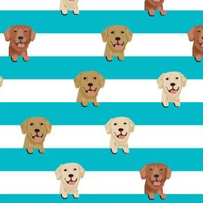 golden retriever stripes fabric - cute golden retriever dog, dog fabric, dogs fabric, golden retrievers stripes - turquoise
