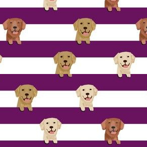 golden retriever stripes fabric - cute golden retriever dog, dog fabric, dogs fabric, golden retrievers stripes -  dark purple