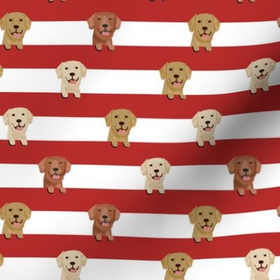 golden retriever stripes fabric - cute golden retriever dog, dog fabric, dogs fabric, golden retrievers stripes -  red