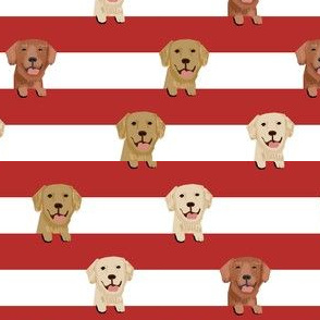 golden retriever stripes fabric - cute golden retriever dog, dog fabric, dogs fabric, golden retrievers stripes -  red