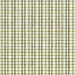 Faded French Check - Green
