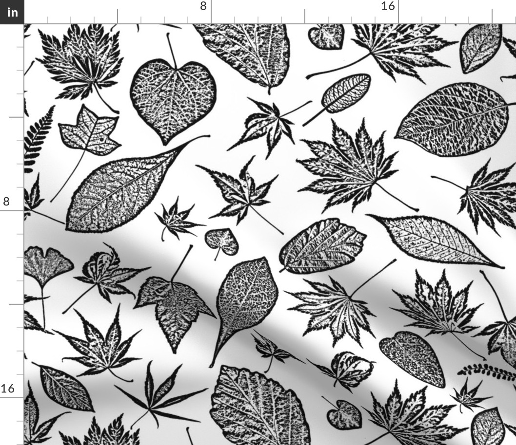 black and white leaves