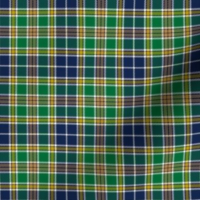 Green Blue White Black and Gold Plaid