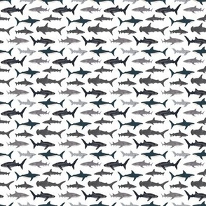 MINI shark // sharks nautical boys white background kids ocean sea tiger shark hammerhead shark fabric
