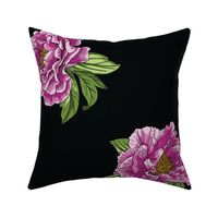Pink Purple Peony Flowers with Green Leaves on Black Background