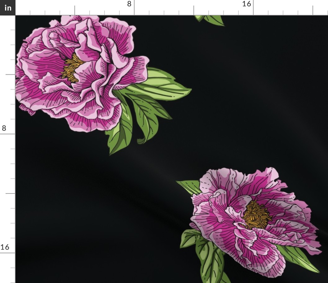 Pink Purple Peony Flowers with Green Leaves on Black Background