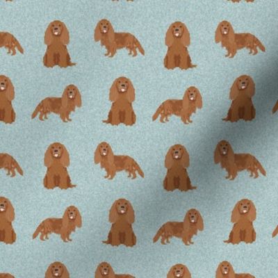 SMALL - cavalier king charles spaniel fabric, dog fabric, ruby cavalier fabric, dog breeds fabric, dog breed fabric - pet quilt b coordinate