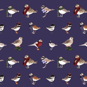 Shorebirds in Scarves