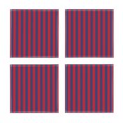 Small Red and Blue USA American Flag Vertical Stripes