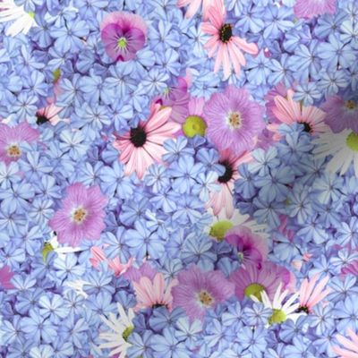 Blue-Pink Flowers Mix