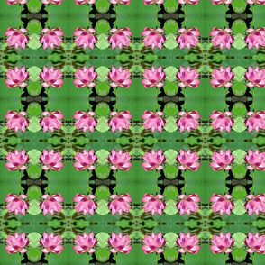 Pink and green floral