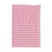 (micro scale) valentines watercolor plaid C18BS