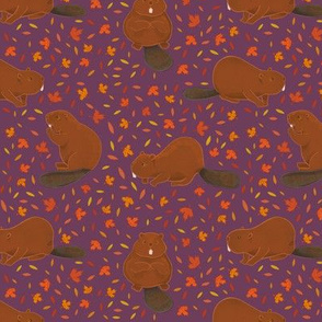 Beavers on Purple