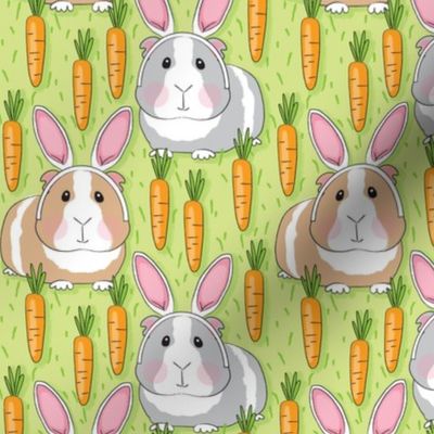 large bunny guinea-pigs-with-carrots-on-green