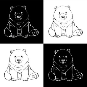 Black and White Bear