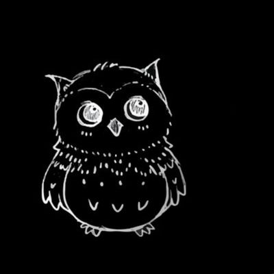White Owl on Black Background