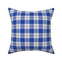 Blue White and Black Plaid