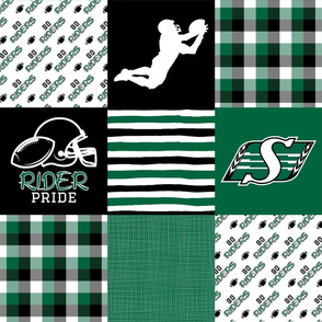 Football//Rider Pride - Wholecloth Cheater Quilt